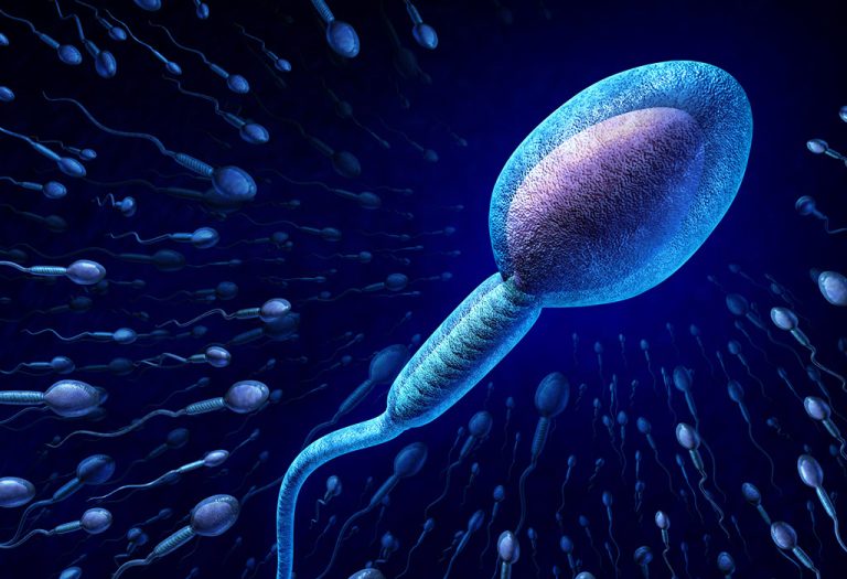 4 Ways to Improve the Success Rate of IUI Treatments