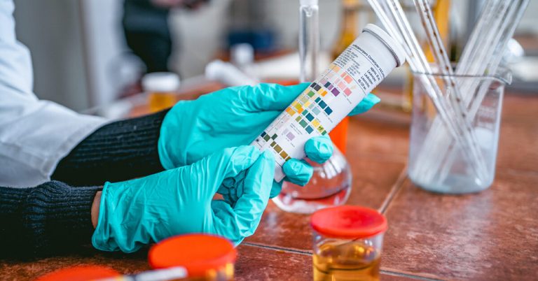 How Your Urine Sample is Evaluated During a Urinalysis
