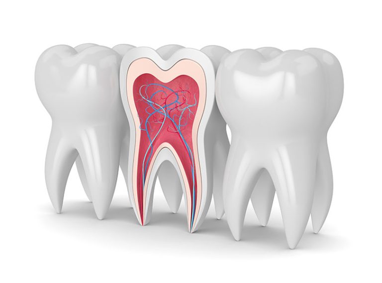 Going for Root Canal Treatment in Bismarck? Check these FAQs