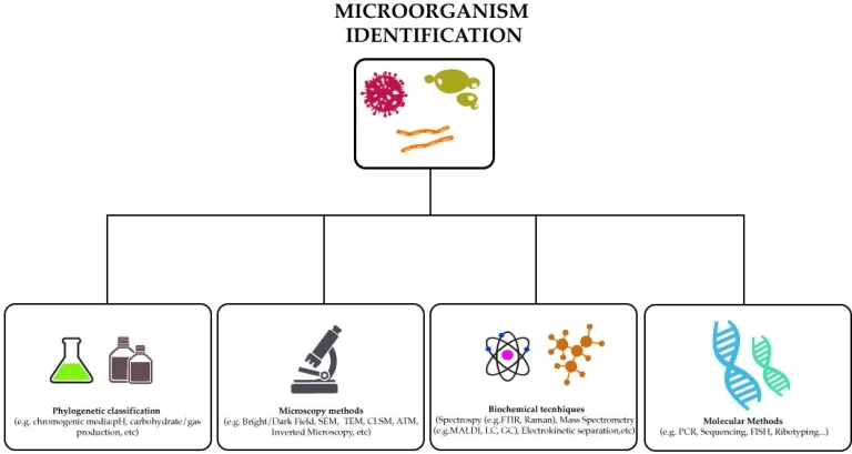 Molecular Diagnostics;Application of Molecular Biology Techniques to Study Human Diseases