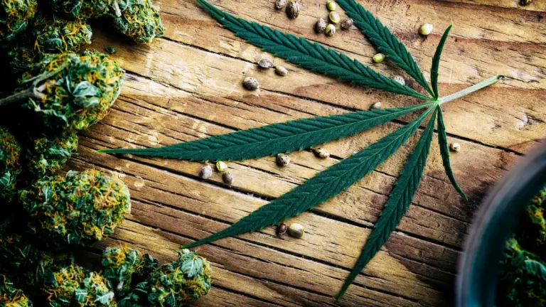 Guide To Order Weed Online