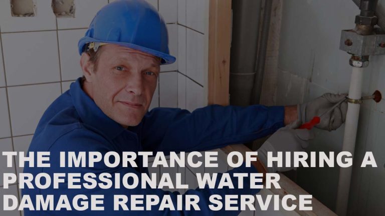 The Importance of Hiring a Professional Water Damage Repair Service