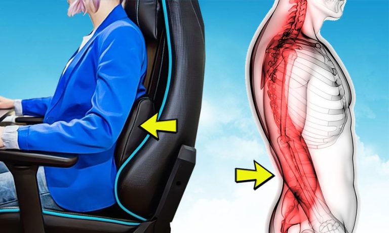 The Essentials of Back Support for Chairs: Your Comprehensive Guide