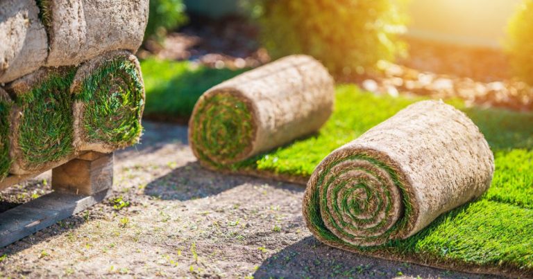 Convenient Turf Delivery Options for Your Lawn