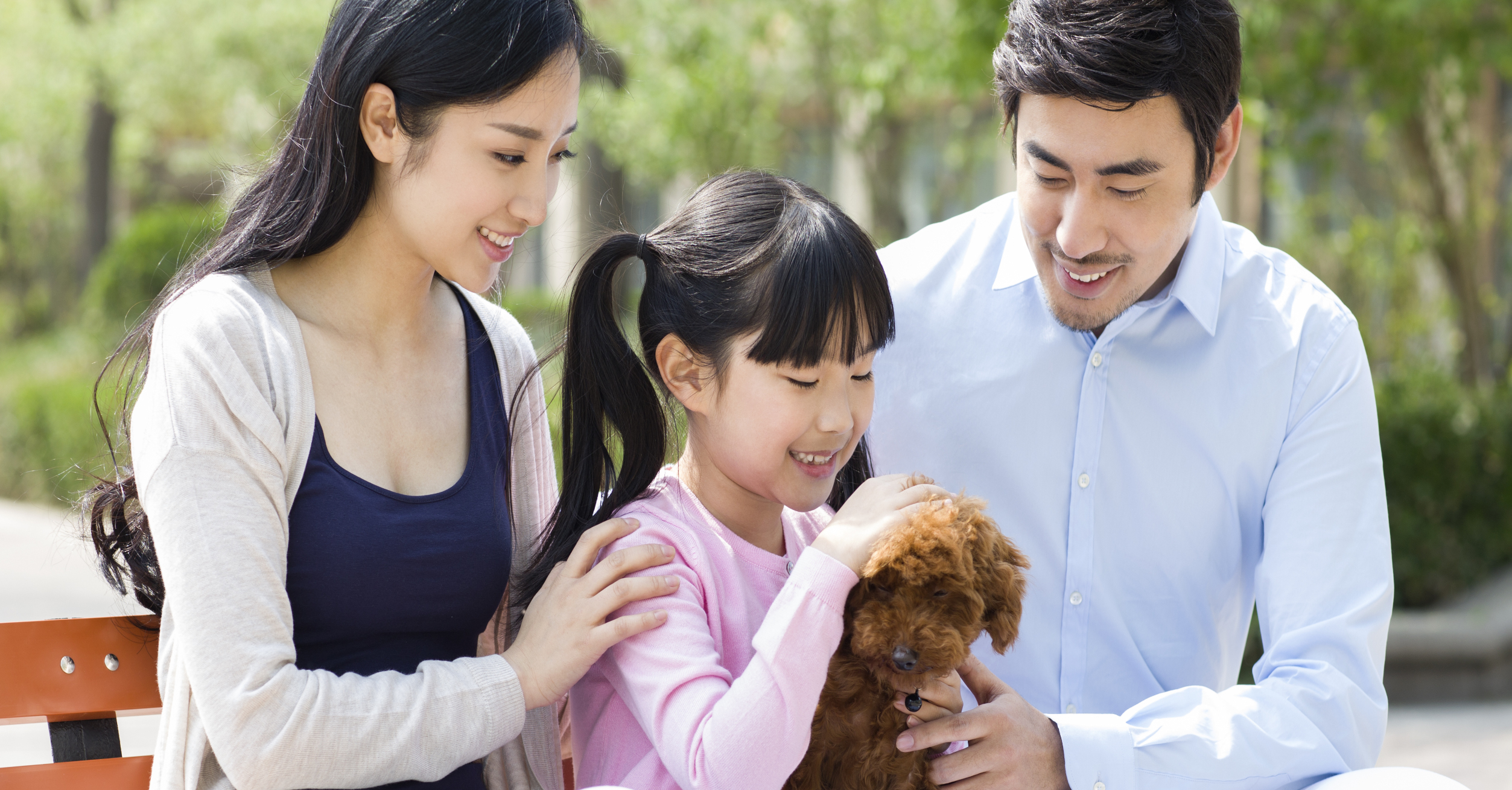 5 Ways General Veterinarians Keep Pets Healthy Year Round