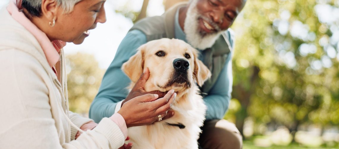 How Senior Pet Programs Improve Quality Of Life